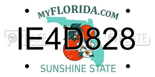 IE4D828 Florida License Plate
