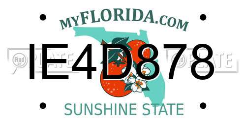 IE4D878 Florida License Plate