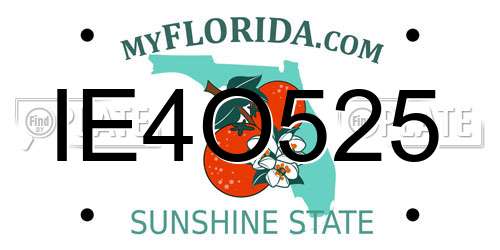 IE4O525 Florida License Plate