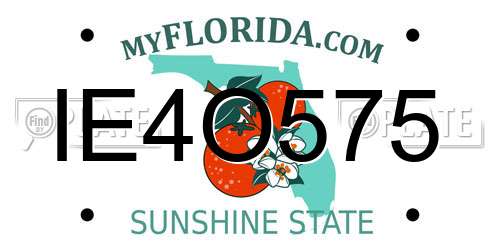 IE4O575 Florida License Plate