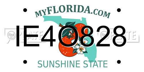 IE4O828 Florida License Plate
