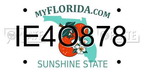 IE4O878 Florida License Plate