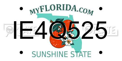 IE4Q525 Florida License Plate