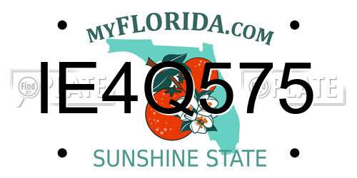IE4Q575 Florida License Plate