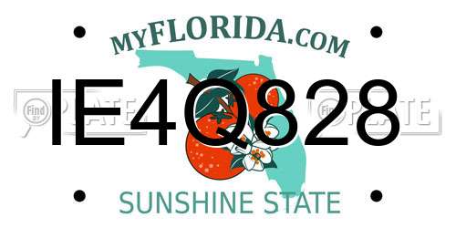 IE4Q828 Florida License Plate