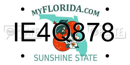 IE4Q878 Florida License Plate