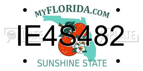 IE4S482 Florida License Plate