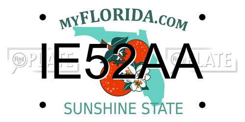 IE52AA Florida License Plate