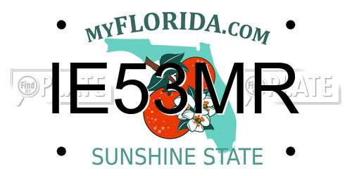 IE53MR Florida License Plate