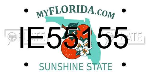 IE55155 Florida License Plate