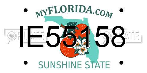 IE55158 Florida License Plate
