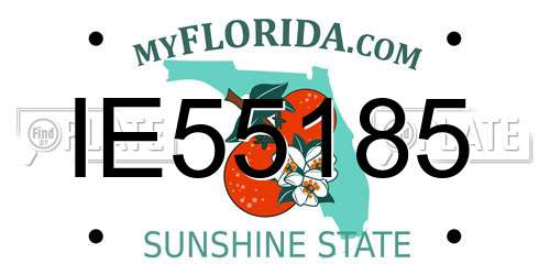 IE55185 Florida License Plate