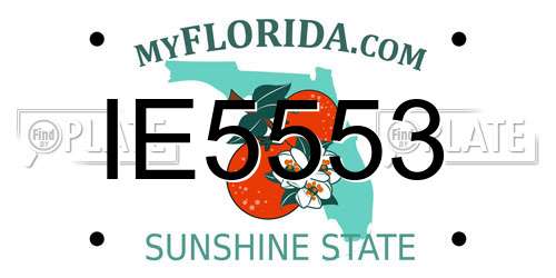 IE5553 Florida License Plate