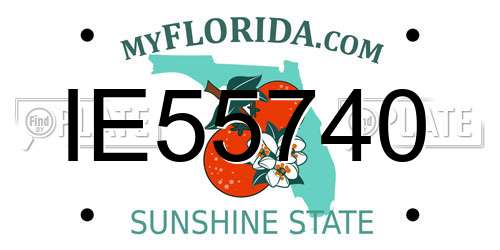 IE55740 Florida License Plate
