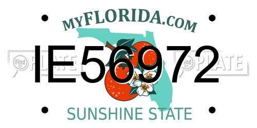 IE56972 Florida License Plate