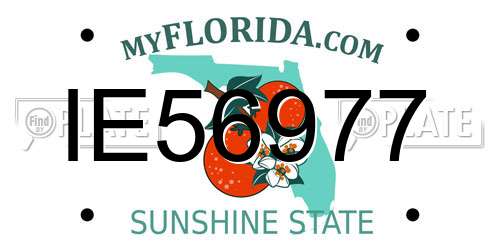 IE56977 Florida License Plate