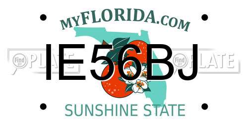 IE56BJ Florida License Plate