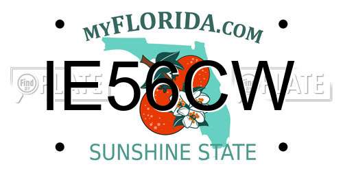 IE56CW Florida License Plate