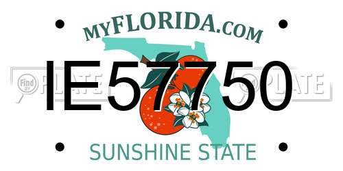 IE57750 Florida License Plate