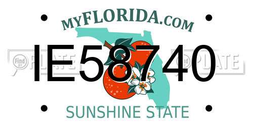 IE58740 Florida License Plate