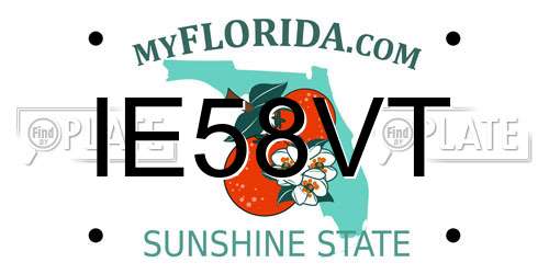 IE58VT Florida License Plate