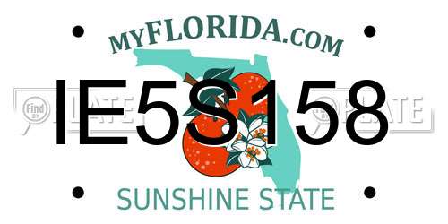 IE5S158 Florida License Plate