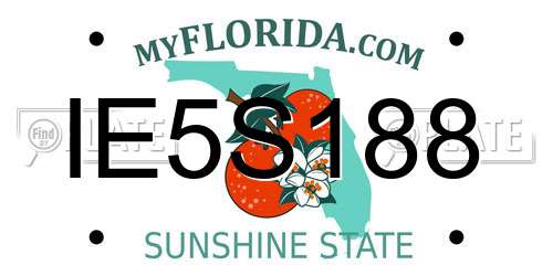 IE5S188 Florida License Plate