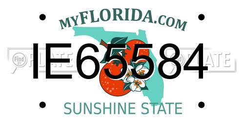 IE65584 Florida License Plate
