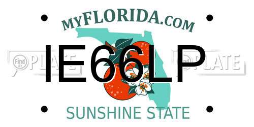 IE66LP Florida License Plate