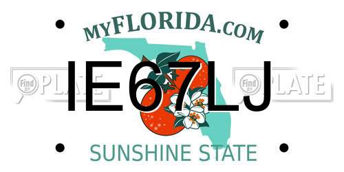 IE67LJ Florida License Plate