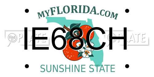 IE68CH Florida License Plate