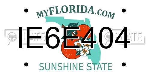 IE6E404 Florida License Plate