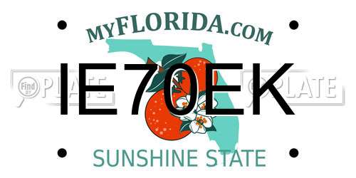 IE70EK Florida License Plate