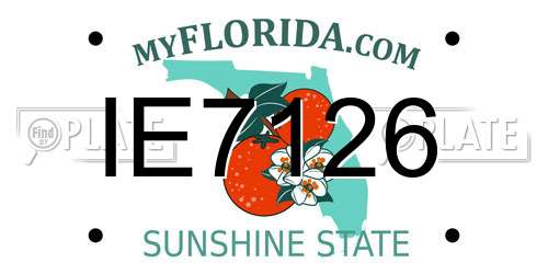 IE7126 Florida License Plate