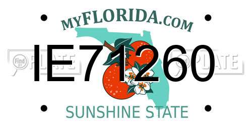 IE71260 Florida License Plate
