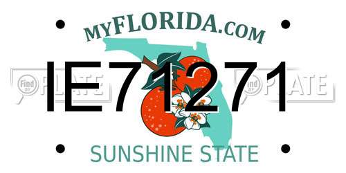 IE71271 Florida License Plate