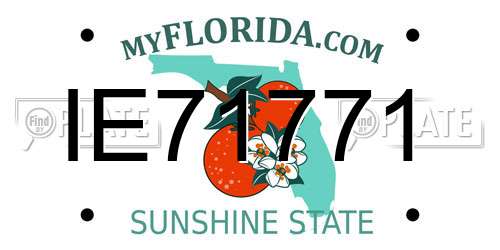 IE71771 Florida License Plate