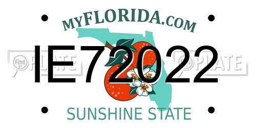 IE72022 Florida License Plate