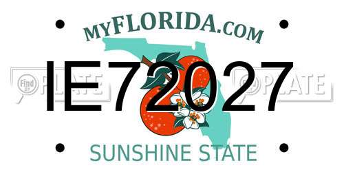 IE72027 Florida License Plate