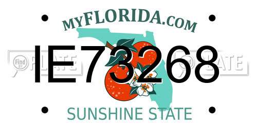 IE73268 Florida License Plate