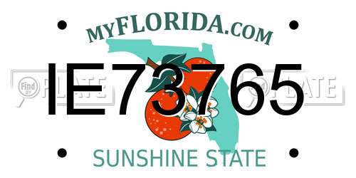 IE73765 Florida License Plate