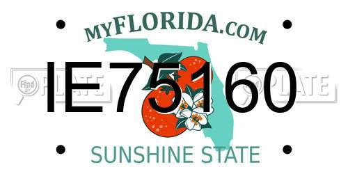 IE75160 Florida License Plate