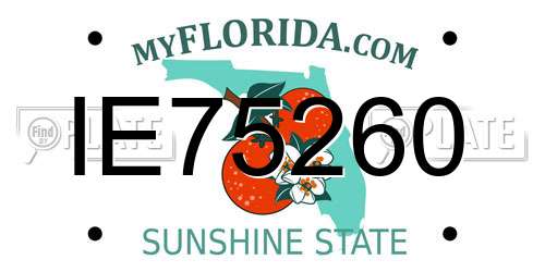 IE75260 Florida License Plate