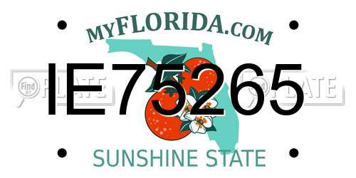 IE75265 Florida License Plate