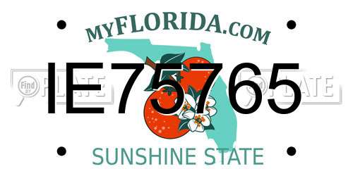 IE75765 Florida License Plate