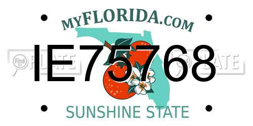 IE75768 Florida License Plate