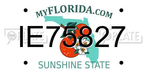 IE75827 Florida License Plate