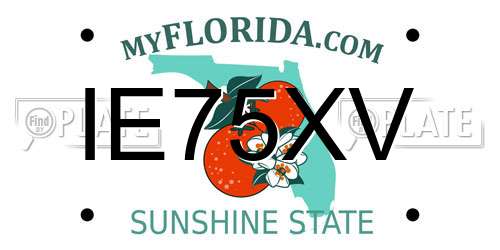IE75XV Florida License Plate