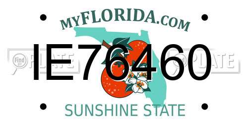 IE76460 Florida License Plate