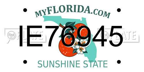 IE76945 Florida License Plate